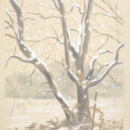 arbre-neige2013-1.png