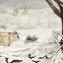 vache sous la neige.jpg